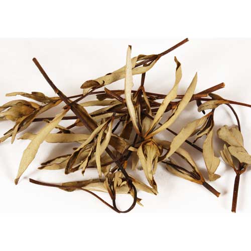 Räucherwerk / Reine R&auml;ucherstoffe / Zistrose, Cistus ladanifer, Wildwuchs, im Beutel (10g)