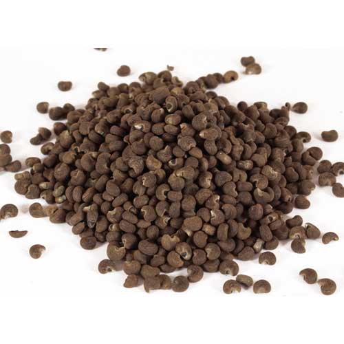 Räucherwerk / Reine R&auml;ucherstoffe / Moschuskörner im Beutel (15g)