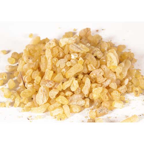Räucherwerk / Reine R&auml;ucherstoffe / Sandarak, Marokko, im Beutel (20g)