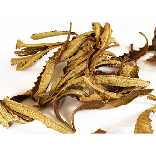 Räucherwerk / Reine R&auml;ucherstoffe / Santakraut (Yerba Santa) im Beutel (10 g)