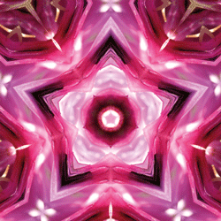 Energieprodukte / Imagami WasserWandler / Kornblume