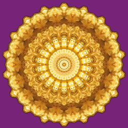 Energieprodukte / Imagami WasserWandler / Gold